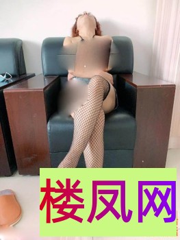 083504i3ox15qi3qtt33qi.jpg